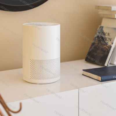 Small Size Personal Air Cleaner