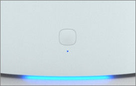 UV Light Pet Appliance Intelligent Control 200H Service Life Filter Dog Water Dispenser